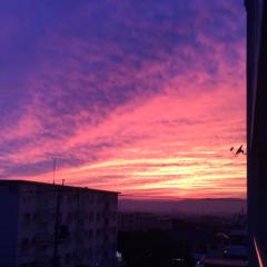 なんでもトーク