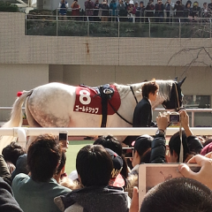 【競馬】競馬好き女の部屋