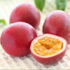 パッション☆モンスター