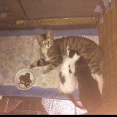 仲良しこよし部屋😘