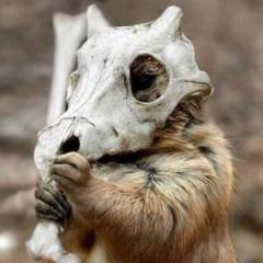 たかしかもしれないのトーク