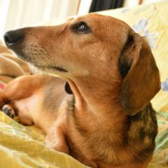 erisのトーク 山口県民