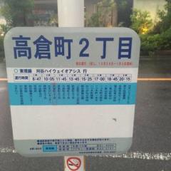 真美