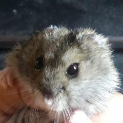 中学生のアパート。中学1～3年の皆さんが住人です！