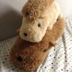 りっくんのトーク