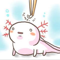 かいくん