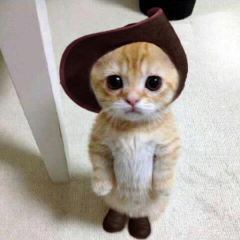 岡山県の男子高校生 大歓迎！