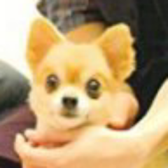 せりなと山田のトーク