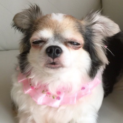 みさとのトーク