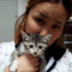 ぶすだけと付き合える♥顔ありでお願いいたします