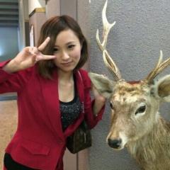 シカじかカクカク暇じゃない？