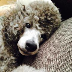 ジャンプが好きな人！暇ならきて〜‼️