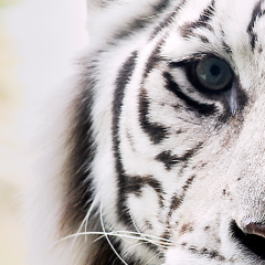 カッコ良くないけど 女の子良かったら雑談しよう！ ┏○ペコッ