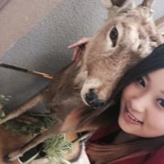 砂肝愛してる。