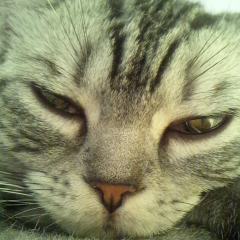 あおいとみれいのトーク