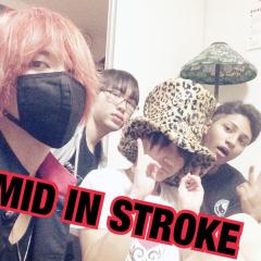 TIMID IN STROKE