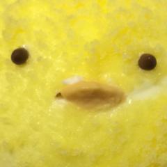 オパビニア