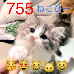 ◯◯◯◯56期生の部屋