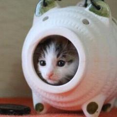 あいり💕のトーク