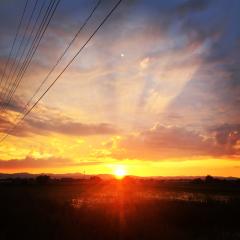 しばっちのトーク(誰でもきてきて)