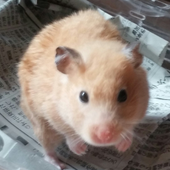 ちょっと待ってー