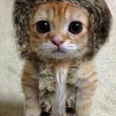 あっさーのトーク