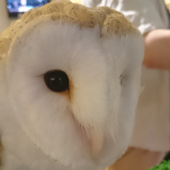 台東ー区(たいとーく) 御近所さん!!! ( ^_^)／