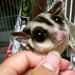 気まぐれトーク