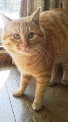 くろべー