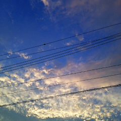 男女関係なくきてね。