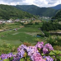 隠れさだまさしさんのファン