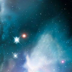 本田翼クラブ非公認！