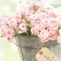 サチヨのリトーク