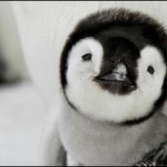 ヾ(・ω・｀)ﾈｪﾈｪ.しりとりしない？