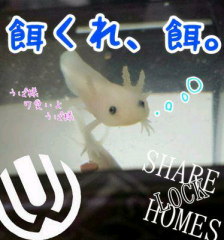 Uwリノンのトーク