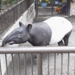 島先生のトーク