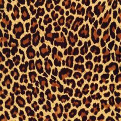 今日のファッション！