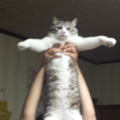あけみんのトーク