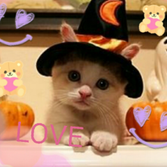 学生さんかまちょ！！