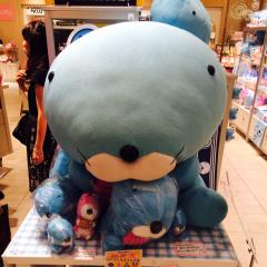 さっそく動画投稿してみよう！