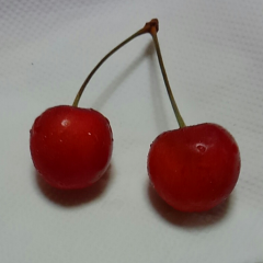 男子来てください‼