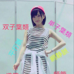 まなたん