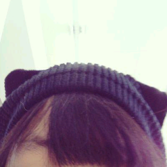 きゃ～(　ﾟ∀ﾟ)o彡