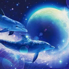 (´｡✪ω✪｡｀)グループ