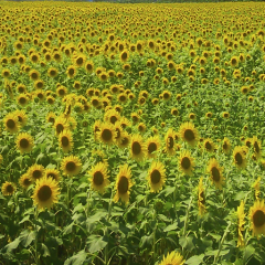 のうちゃんのトーク
