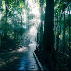 やじこめ返信すぐ、いまならできる!