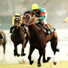 名馬の歴史を語りたい