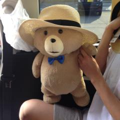 テッドファン集合