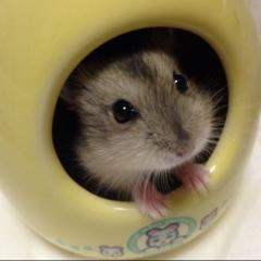 まさあにさん＆私トーク