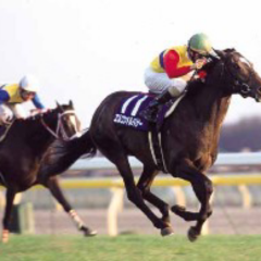 学生が競馬について語りましょう。！